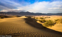 Mesquite Dunes, Death Valley, California