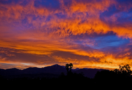 Essay on sunrise in english picture