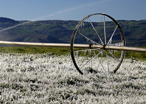 Fruitland Mesa, Colorado : Rural Landscapes : Dust and Mud - Photography by Dana L. Thomas