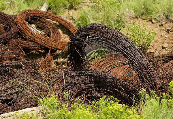 Northern Arizona : Rural Landscapes : Dust and Mud - Photography by Dana L. Thomas