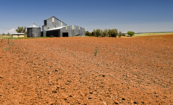 Pleasant View, Colorado : Rural Landscapes : Dust and Mud - Photography by Dana L. Thomas