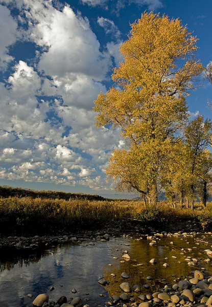 Jackson, Wyoming : Rural Landscapes : Dust and Mud - Photography by Dana L. Thomas