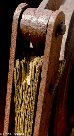 Joshua Tree National Park : Rust Never Sleeps : Dust and Mud - Photography by Dana L. Thomas