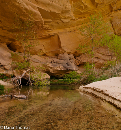 Escalante,Utah : Escalante : Dust and Mud - Photography by Dana L. Thomas