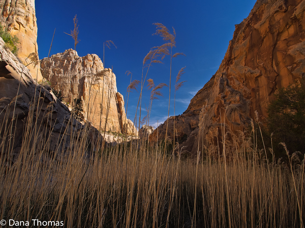 Escalante, Utah : Escalante : Dust and Mud - Photography by Dana L. Thomas