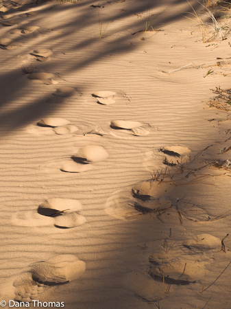 Escalante, Utah : Escalante : Dust and Mud - Photography by Dana L. Thomas