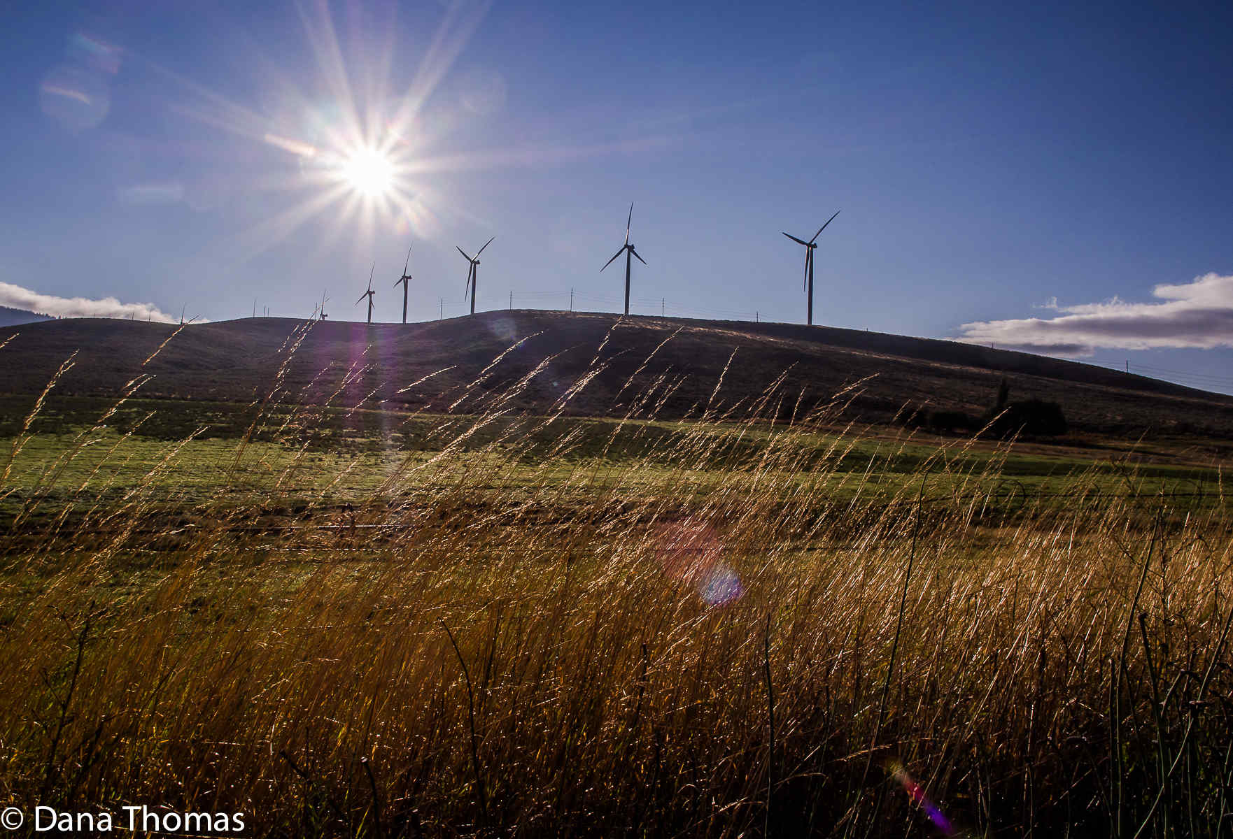 Northeastern Oregon : Rural Landscapes : Dust and Mud - Photography by Dana L. Thomas