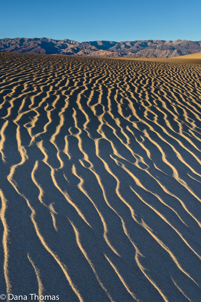 Death Valley, California : Arid Lands : Dust and Mud - Photography by Dana Thomas