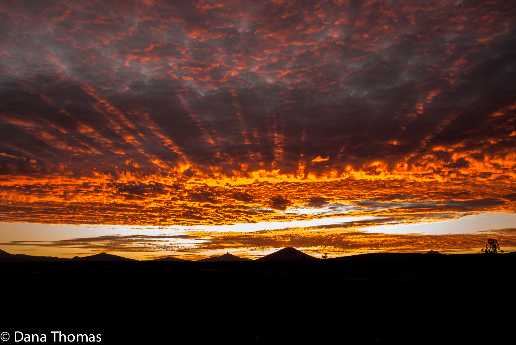 Central Oregon : Favorites : Dust and Mud - Photography by Dana Thomas