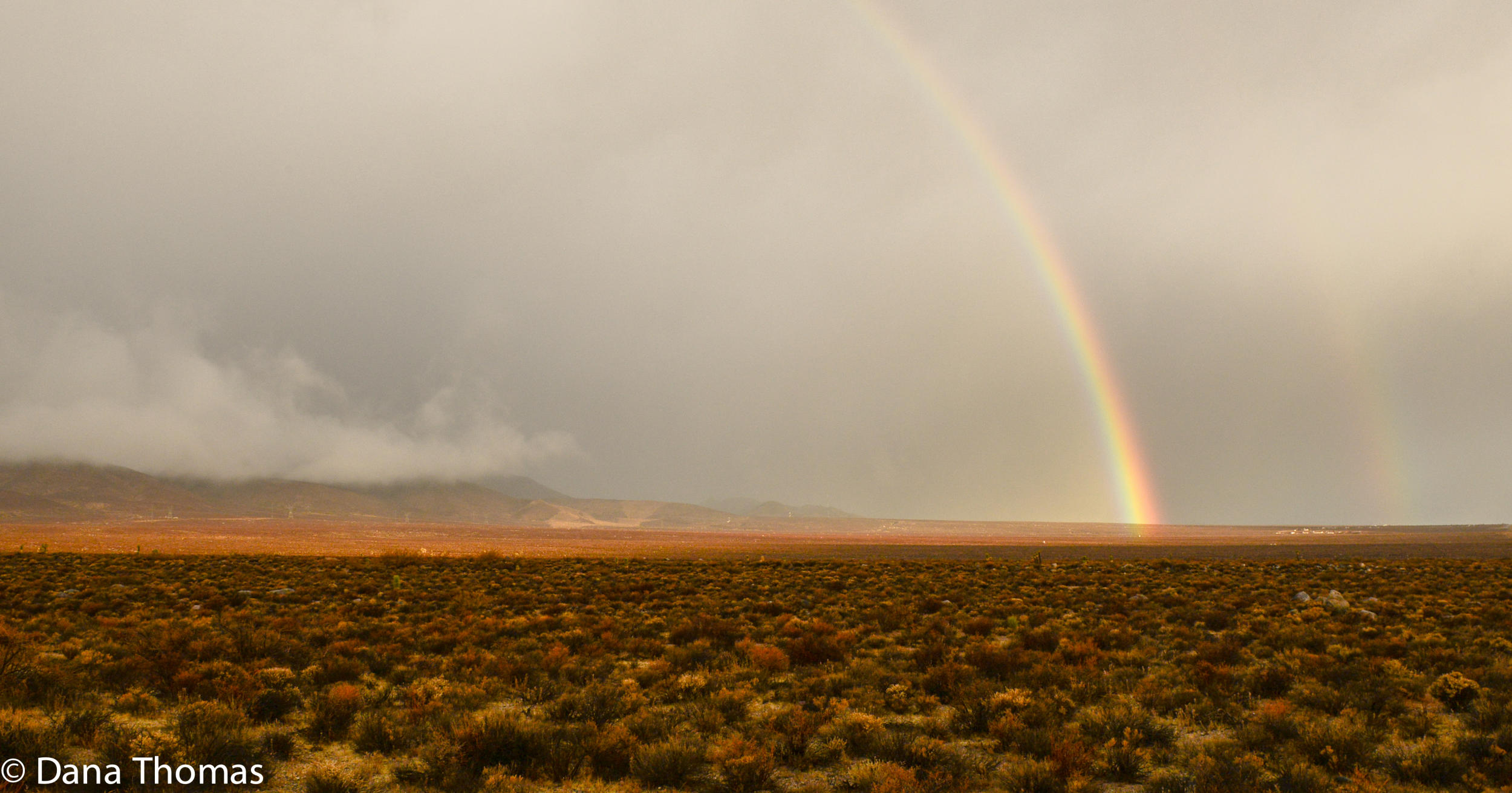 Owens Valley, California : Arid Lands : Dust and Mud - Photography by Dana L. Thomas