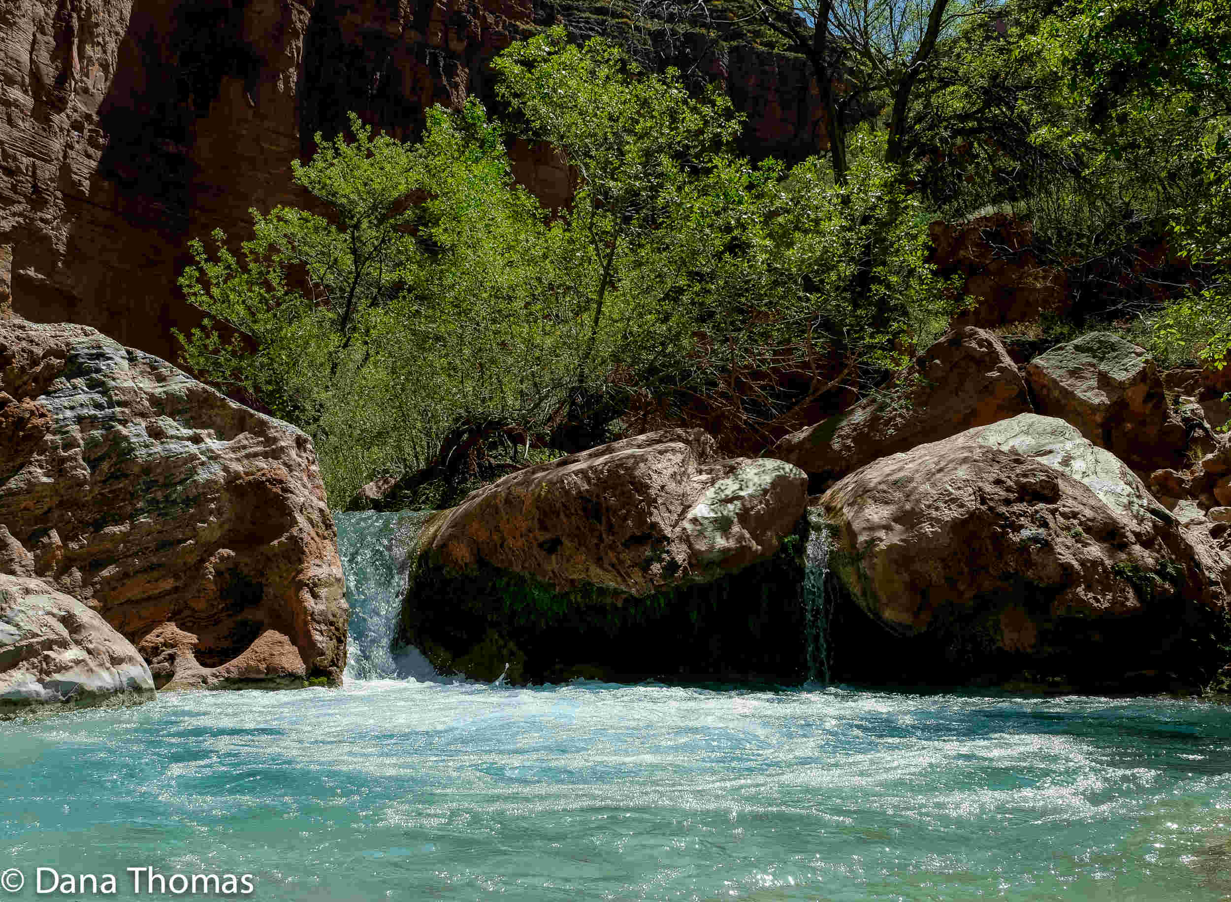 Havasupai Creek, Grand Canyon, Arizona : Grand Canyon : Dust and Mud - Photography by Dana L. Thomas