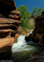 The "Patio" at Deer Creek, Grand Canyon Arizona