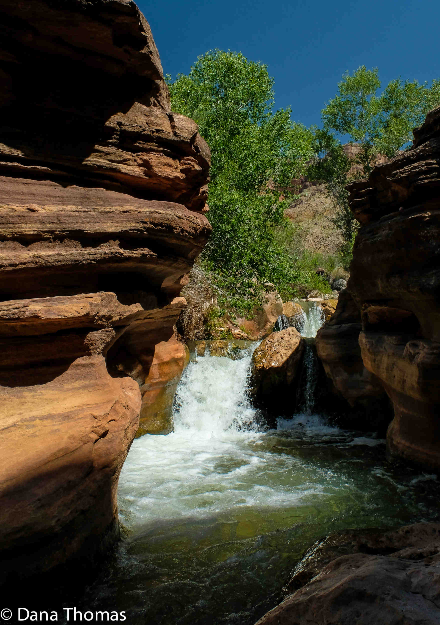 The Porch, Deer Creek, Grand Canyon, Arizona : Grand Canyon : Dust and Mud - Photography by Dana L. Thomas