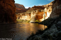 First light at Vassey's Paradise, Grand Canyon, Arizona