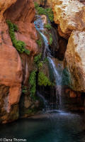 Elves Chasm, Grand Canyon, Arizona