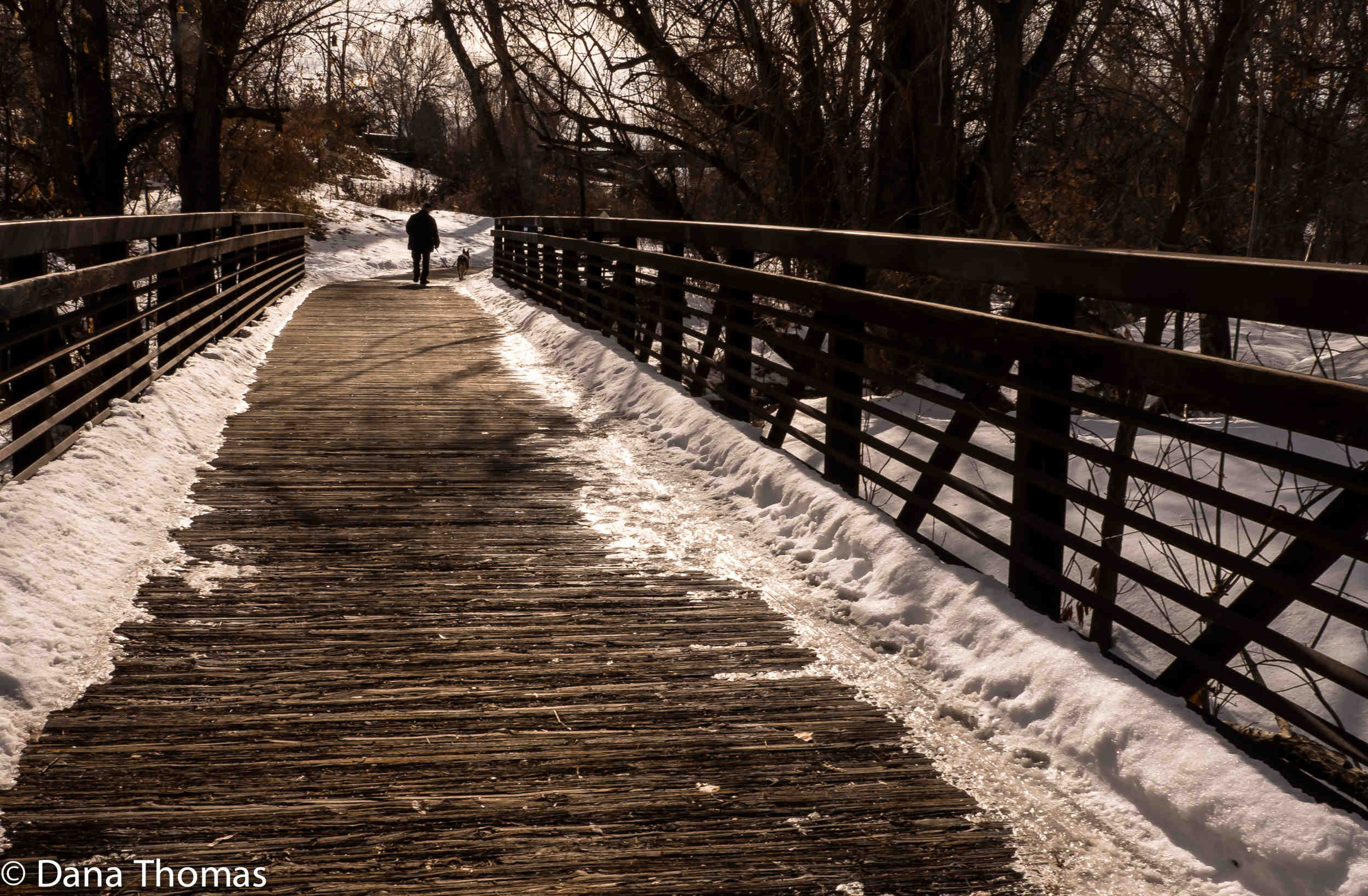 Denver, Colorado : Urban Landscapes : Dust and Mud - Photography by Dana L. Thomas