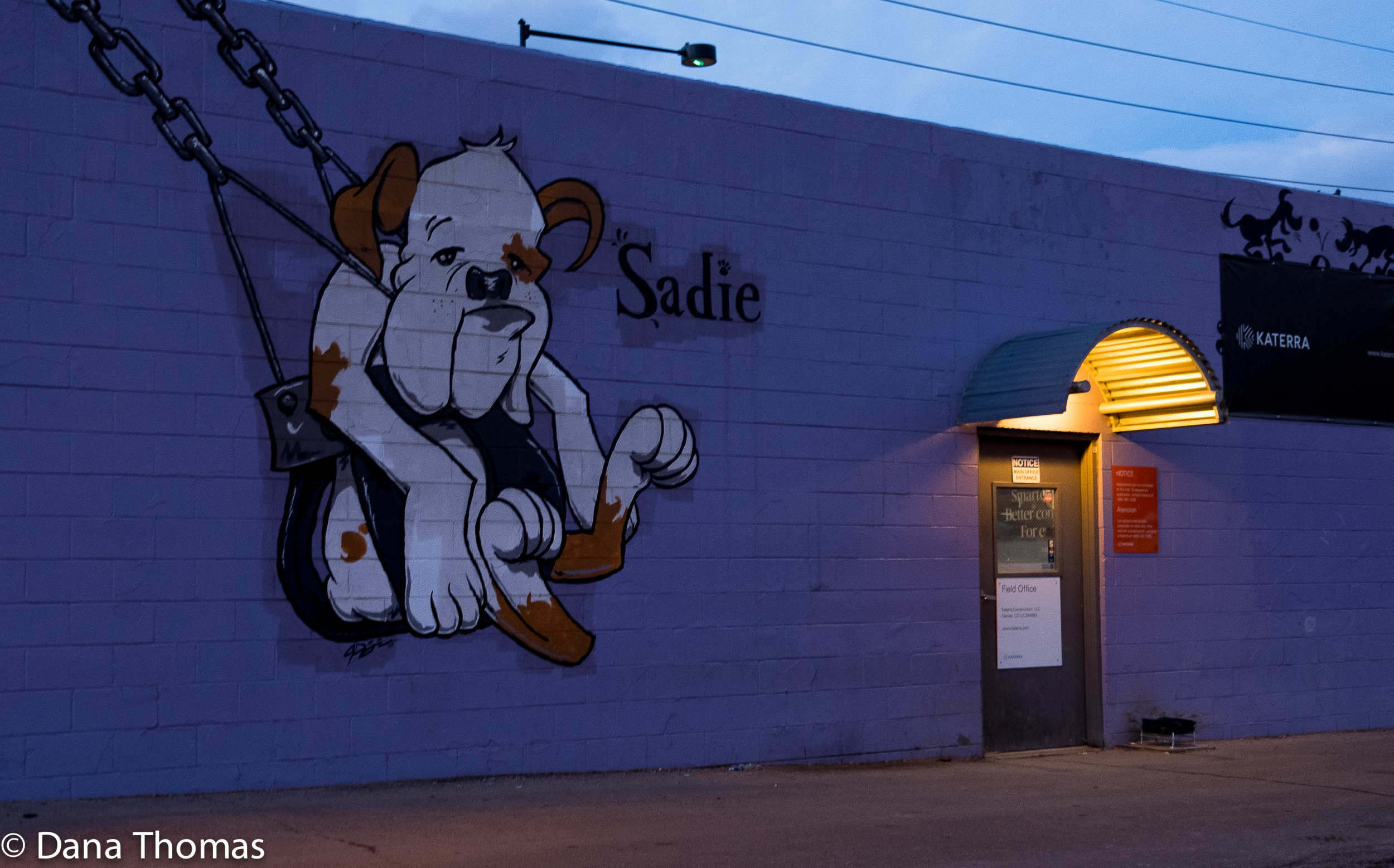 Denver, Colorado : Doors : Dust and Mud - Photography by Dana L. Thomas