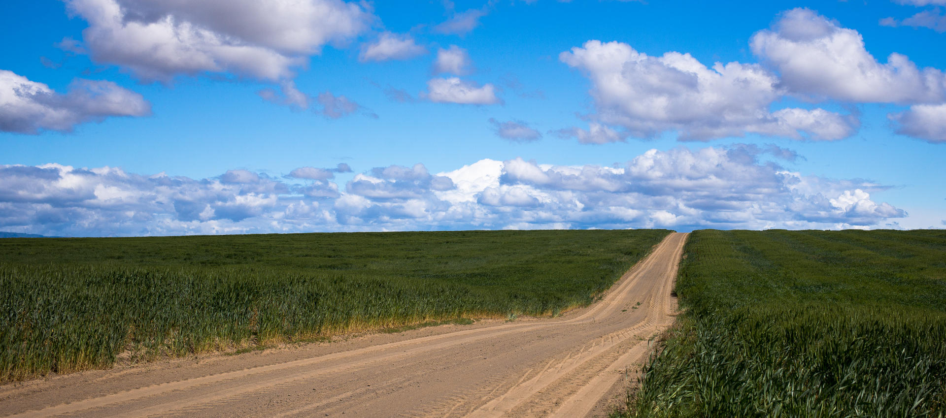 Eastern Washington : Rural Landscapes : Dust and Mud - Photography by Dana L. Thomas