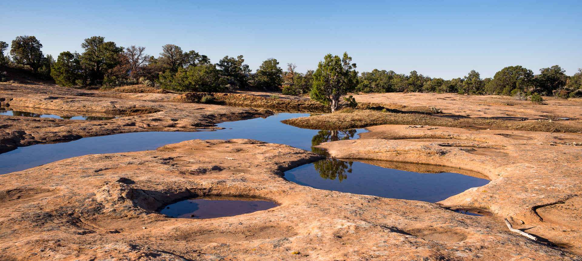  : Arid Lands : Dust and Mud - Photography by Dana L. Thomas