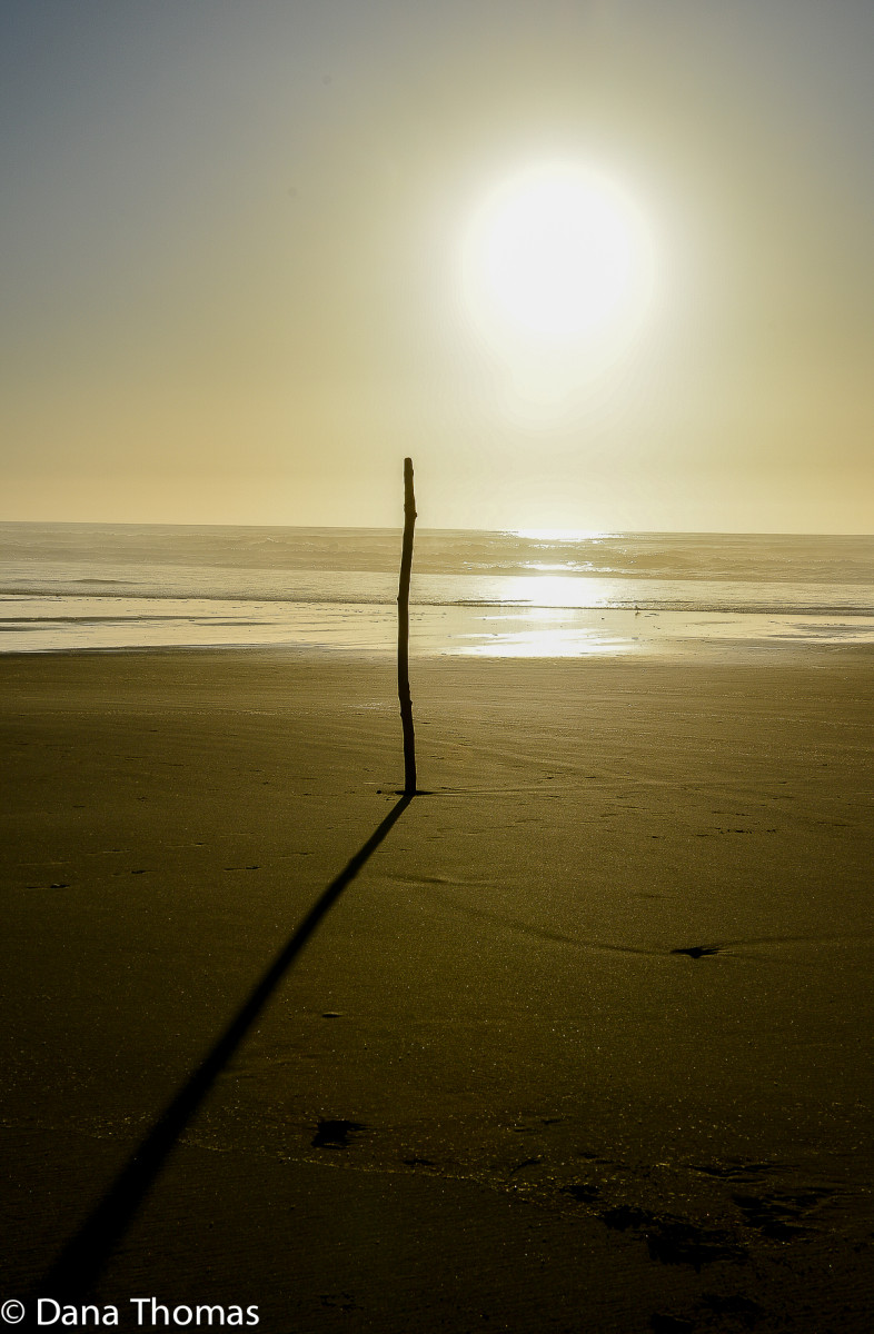 Oregon : Ocean's Edge : Dust and Mud - Photography by Dana Thomas