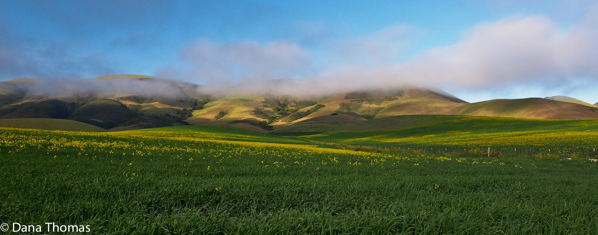  : On the Farm : Dust and Mud - Photography by Dana L. Thomas