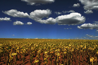 Cahone, Colorado