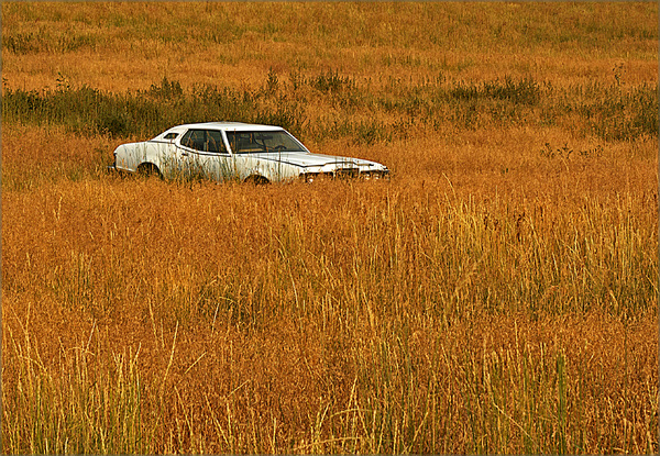 Craig, Colorado : Rural Landscapes : Dust and Mud - Photography by Dana L. Thomas