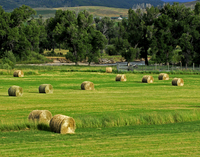 Steamboat Springs, Colorado