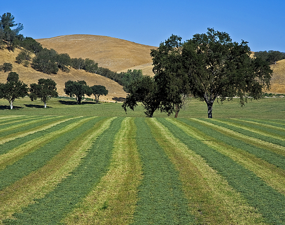 San Miguel, California : Rural Landscapes : Dust and Mud - Photography by Dana L. Thomas