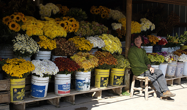 Ocoa, Chile : Markets : Dust and Mud - Photography by Dana L. Thomas