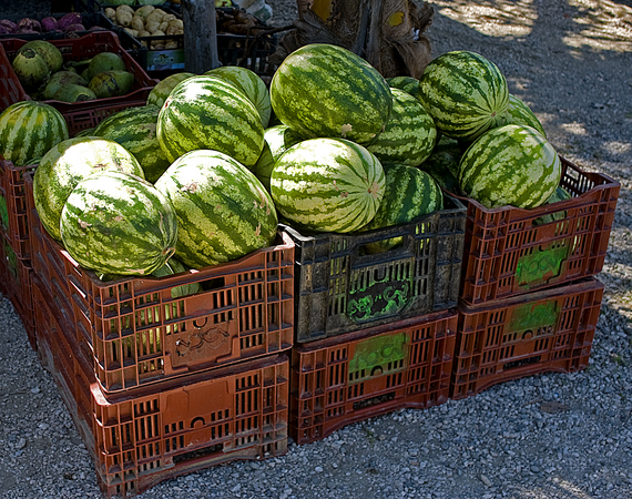 Costa Rica : Markets : Dust and Mud - Photography by Dana L. Thomas